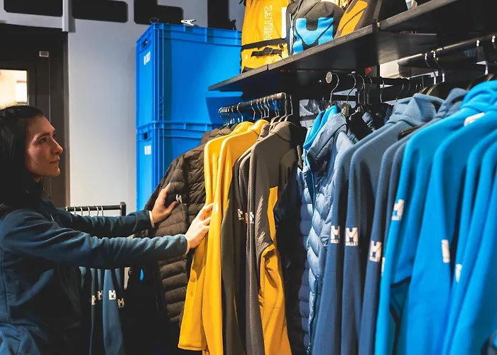 Les Aiglons 酒店 4*